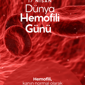 DÜNYA HEMOFİLİ GÜNÜ